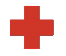Skilled Nursing